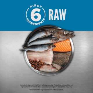 Six Fish™