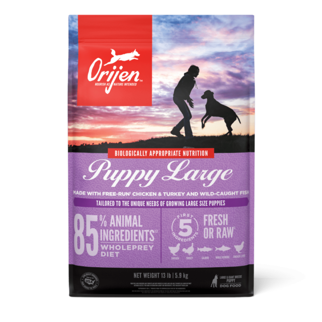 Puppy Large